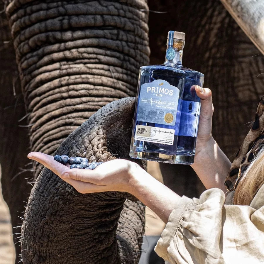 Primos Gin Árándano (Blueberry) 700ml 43%